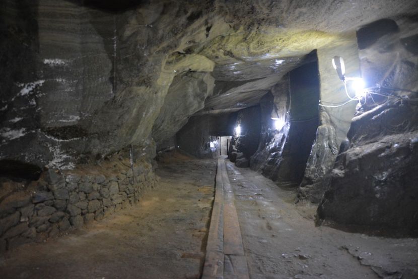  - 2018 21 27 septembrie CO 2018 CRESCATORIA DE CERBI DARMOXA