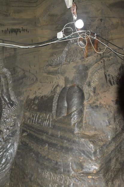  - 2018 21 27 septembrie CO 2018 CRESCATORIA DE CERBI DARMOXA