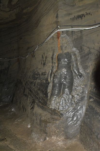  - 2018 21 27 septembrie CO 2018 CRESCATORIA DE CERBI DARMOXA