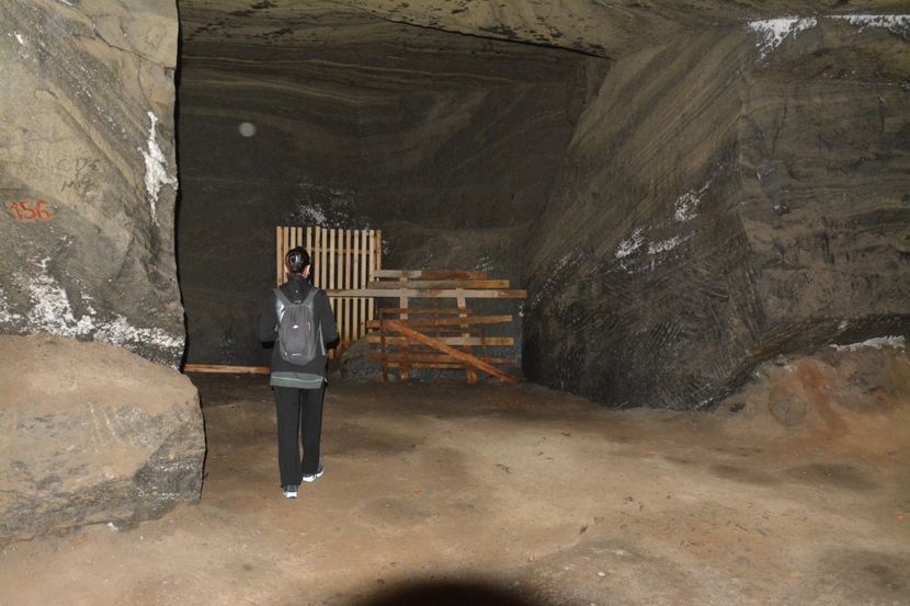  - 2018 21 27 septembrie CO 2018 CRESCATORIA DE CERBI DARMOXA