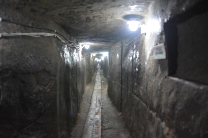  - 2018 21 27 septembrie CO 2018 CRESCATORIA DE CERBI DARMOXA