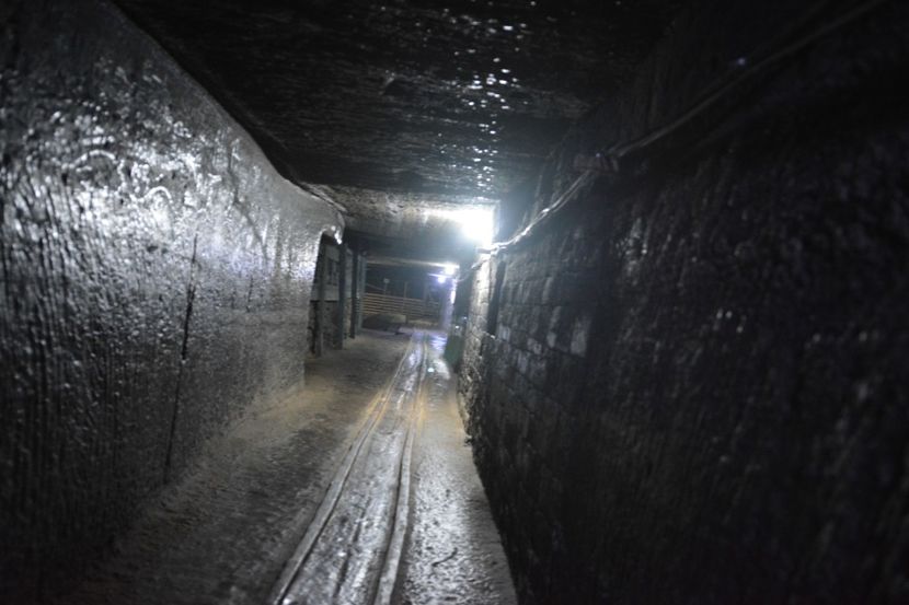  - 2018 21 27 septembrie CO 2018 CRESCATORIA DE CERBI DARMOXA