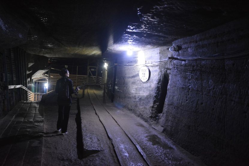  - 2018 21 27 septembrie CO 2018 CRESCATORIA DE CERBI DARMOXA