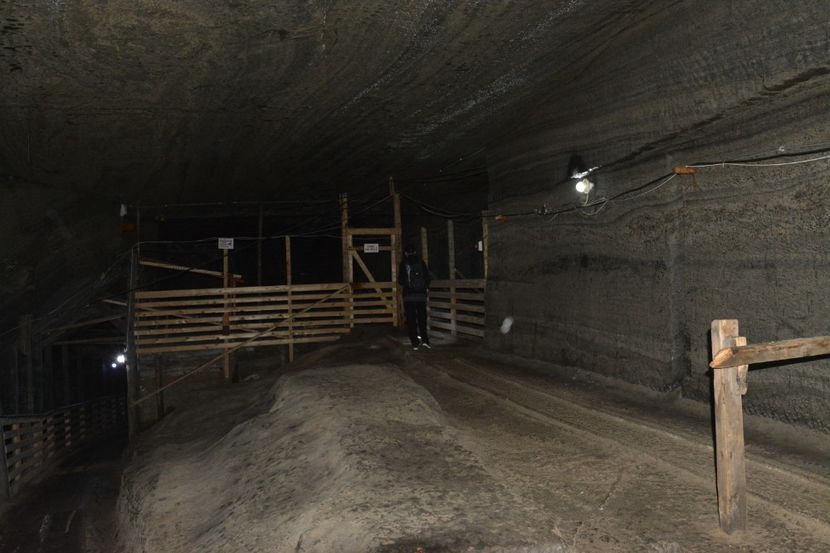  - 2018 21 27 septembrie CO 2018 CRESCATORIA DE CERBI DARMOXA