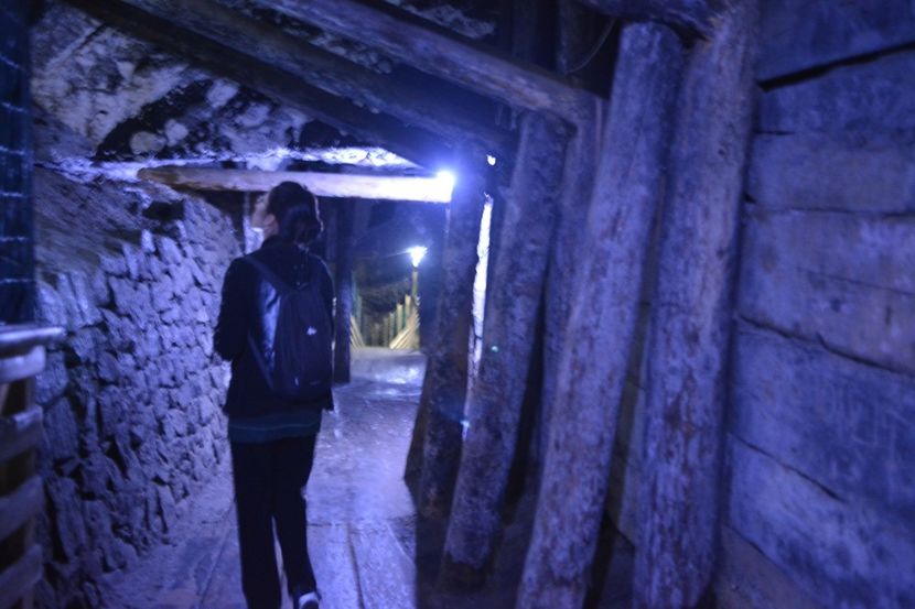  - 2018 21 27 septembrie CO 2018 CRESCATORIA DE CERBI DARMOXA