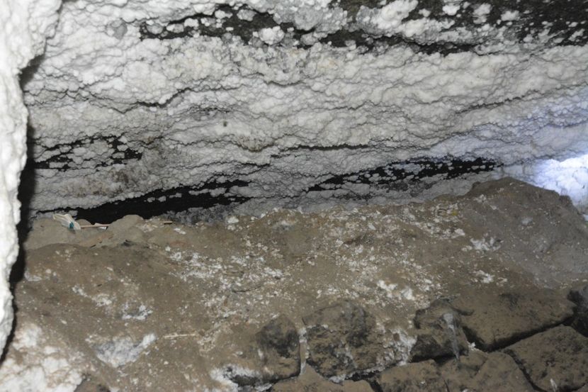  - 2018 21 27 septembrie CO 2018 CRESCATORIA DE CERBI DARMOXA