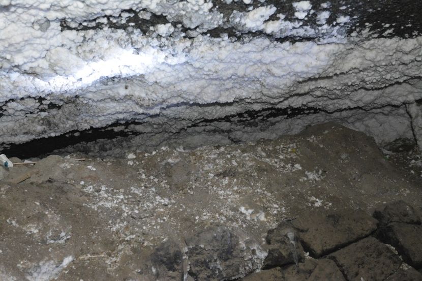  - 2018 21 27 septembrie CO 2018 CRESCATORIA DE CERBI DARMOXA