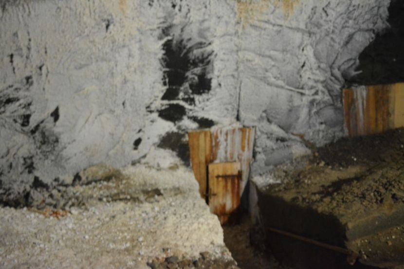  - 2018 21 27 septembrie CO 2018 CRESCATORIA DE CERBI DARMOXA