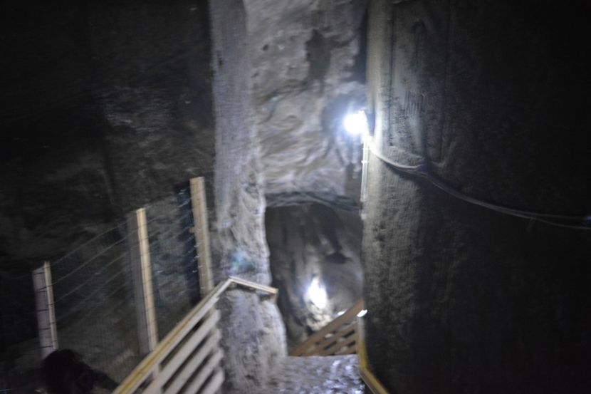  - 2018 21 27 septembrie CO 2018 CRESCATORIA DE CERBI DARMOXA