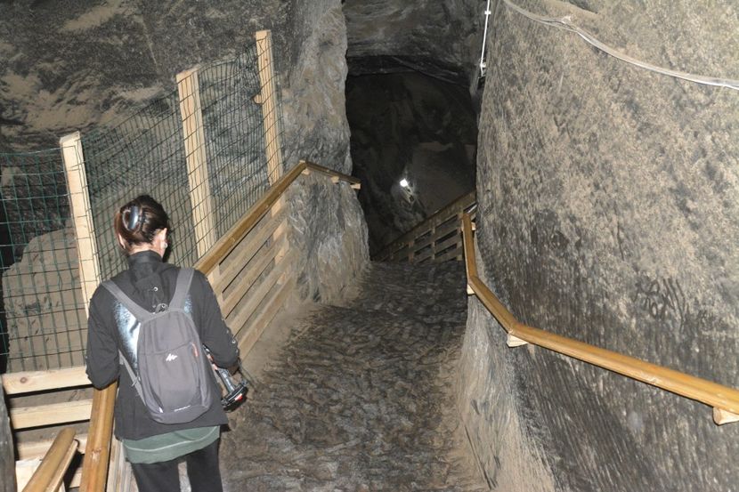  - 2018 21 27 septembrie CO 2018 CRESCATORIA DE CERBI DARMOXA