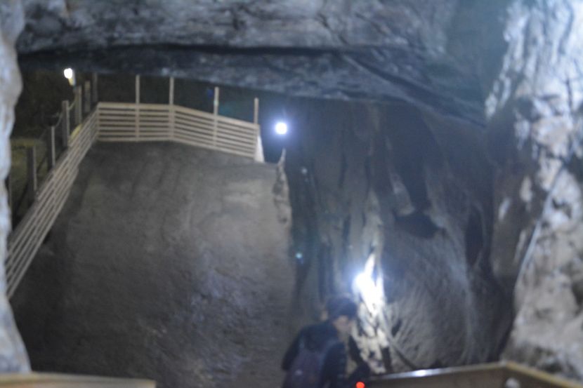  - 2018 21 27 septembrie CO 2018 CRESCATORIA DE CERBI DARMOXA