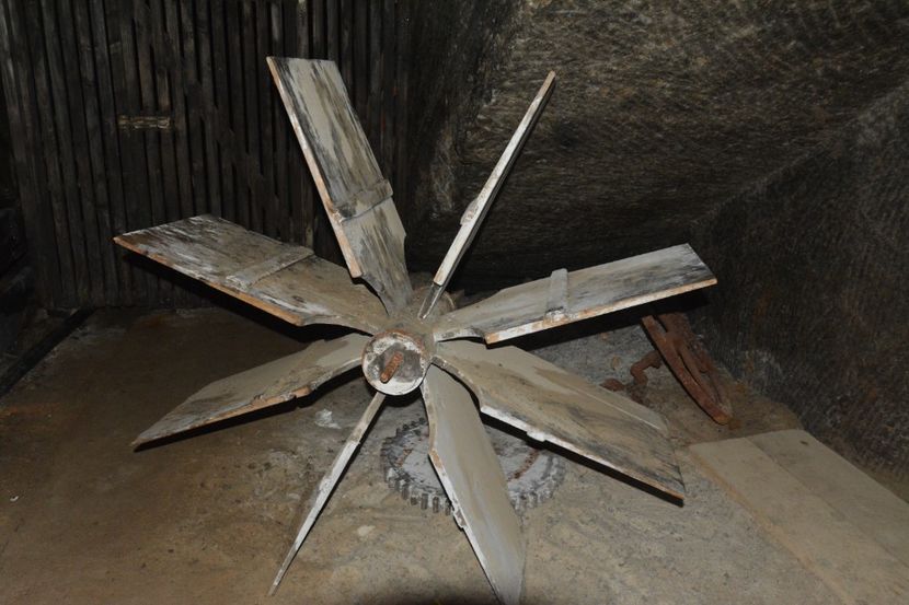  - 2018 21 27 septembrie CO 2018 CRESCATORIA DE CERBI DARMOXA