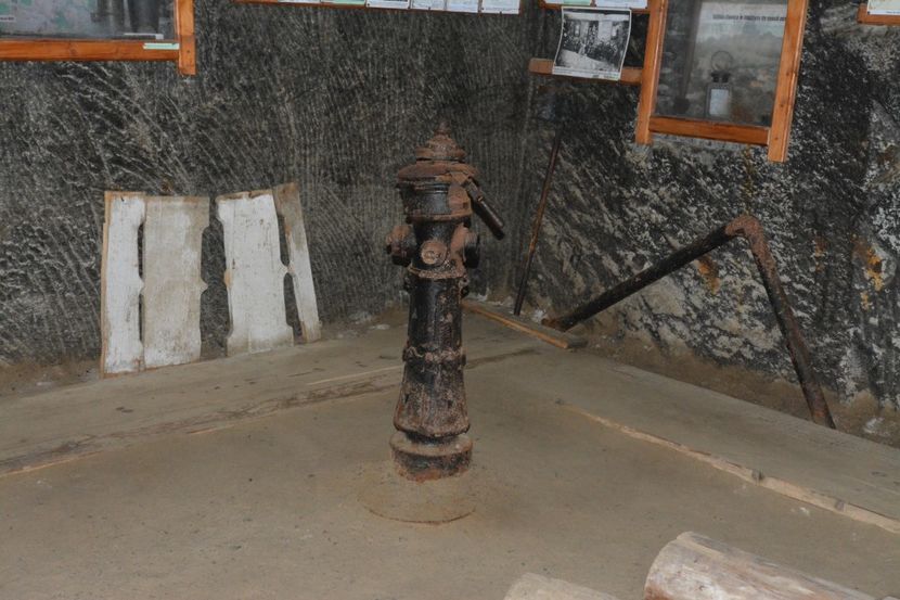  - 2018 21 27 septembrie CO 2018 CRESCATORIA DE CERBI DARMOXA