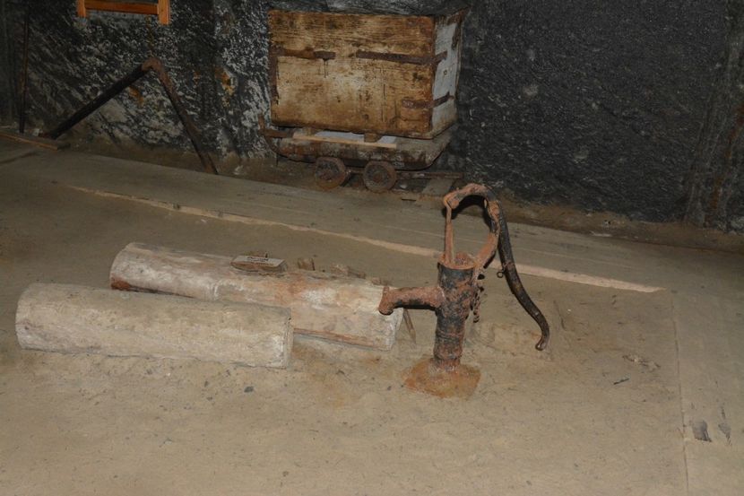  - 2018 21 27 septembrie CO 2018 CRESCATORIA DE CERBI DARMOXA