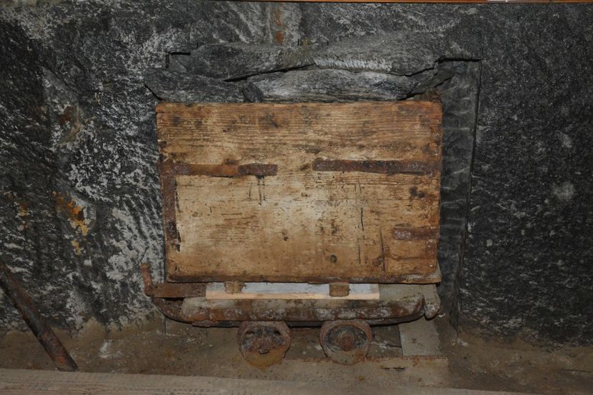  - 2018 21 27 septembrie CO 2018 CRESCATORIA DE CERBI DARMOXA