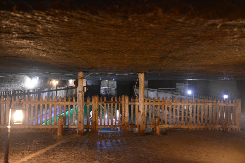  - 2018 21 27 septembrie CO 2018 CRESCATORIA DE CERBI DARMOXA