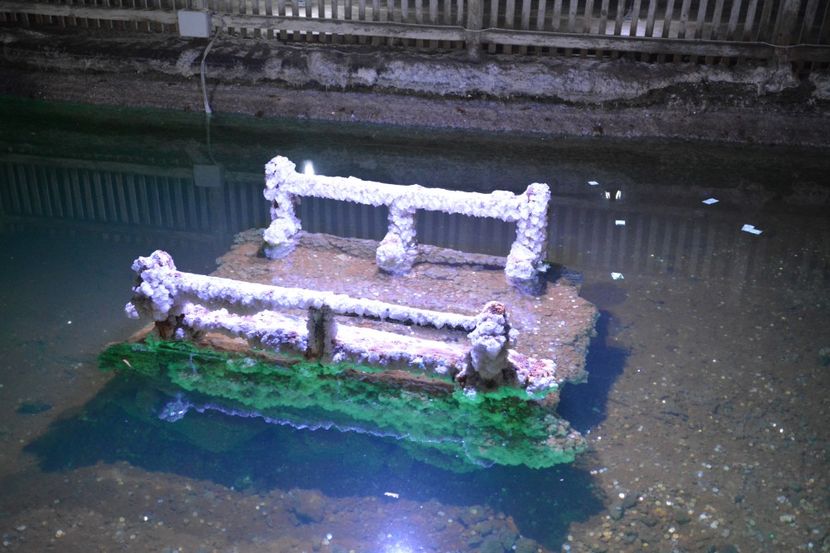  - 2018 21 27 septembrie CO 2018 CRESCATORIA DE CERBI DARMOXA