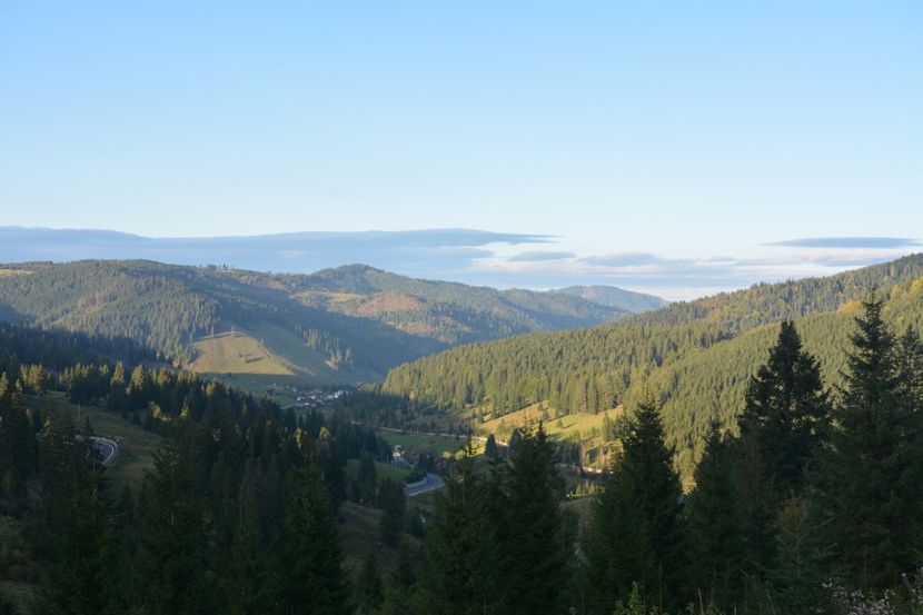  - 2018 21 27 septembrie CO 2018 CRESCATORIA DE CERBI DARMOXA