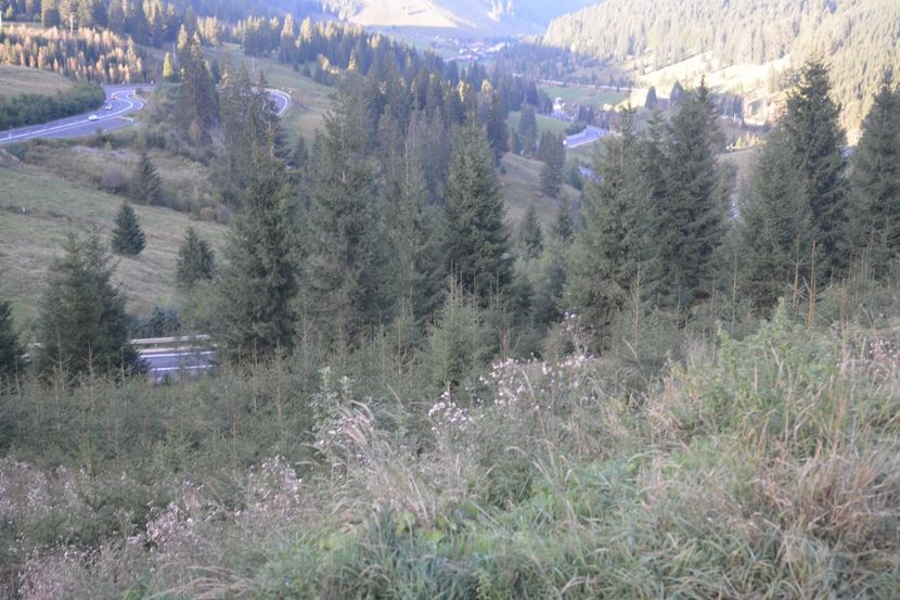  - 2018 21 27 septembrie CO 2018 CRESCATORIA DE CERBI DARMOXA