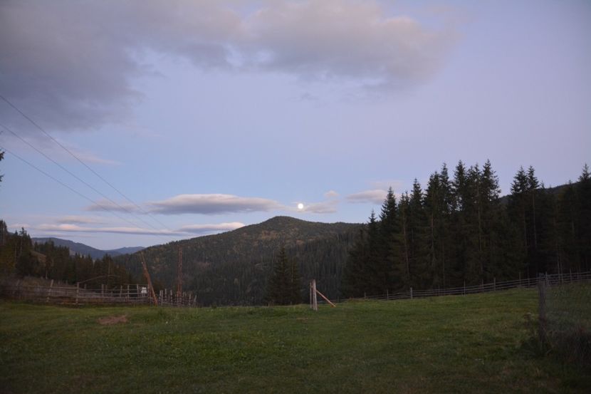  - 2018 21 27 septembrie CO 2018 CRESCATORIA DE CERBI DARMOXA