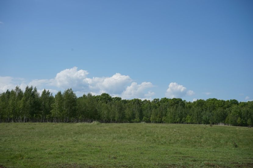  - 2019 MAI 18 POIANA NARCISELOR