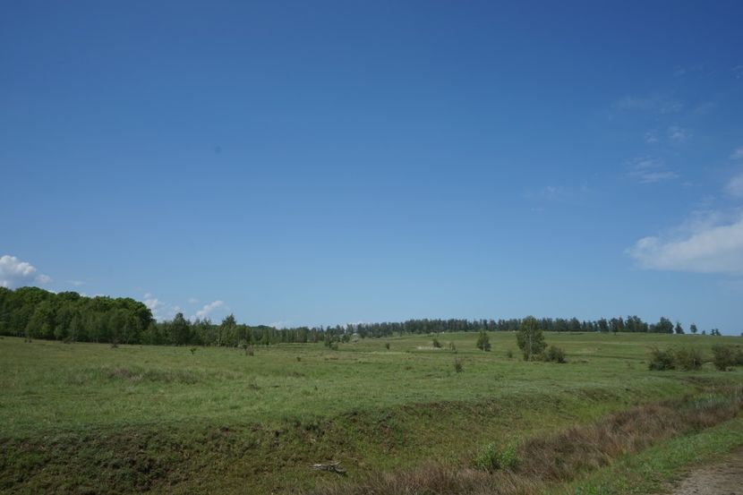  - 2019 MAI 18 POIANA NARCISELOR