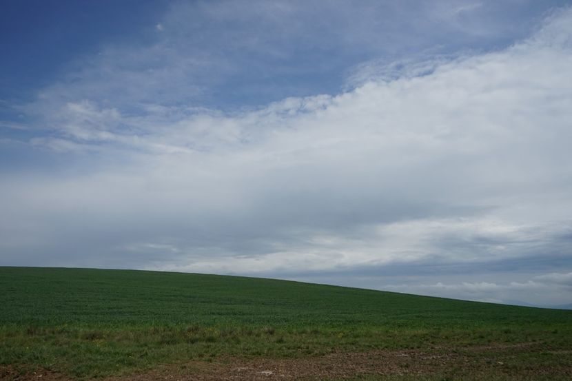  - 2019 MAI 18 POIANA NARCISELOR