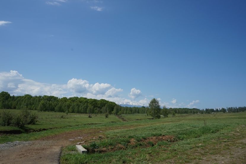  - 2019 MAI 18 POIANA NARCISELOR