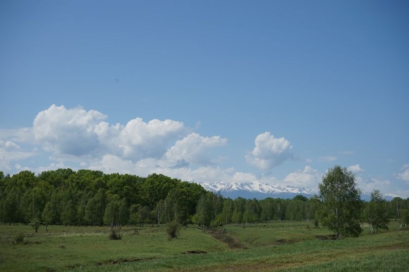  - 2019 MAI 18 POIANA NARCISELOR