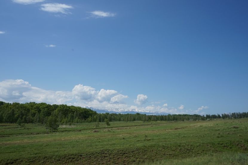  - 2019 MAI 18 POIANA NARCISELOR