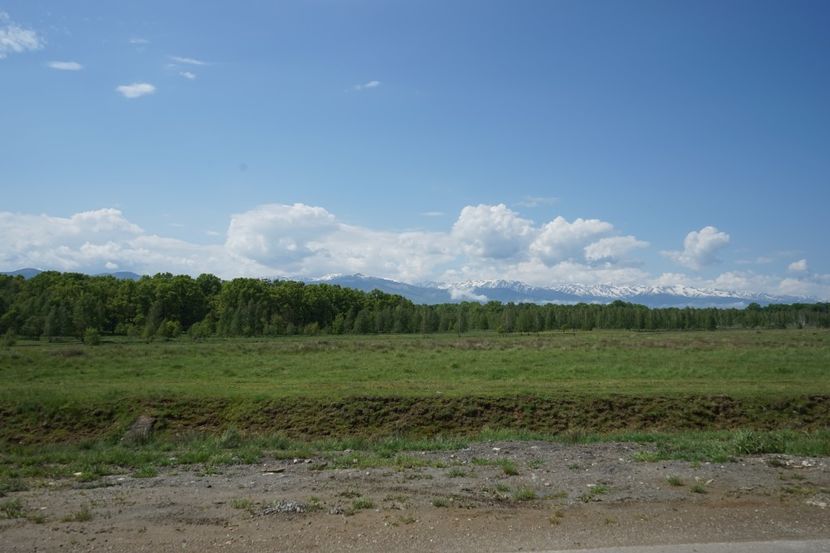  - 2019 MAI 18 POIANA NARCISELOR