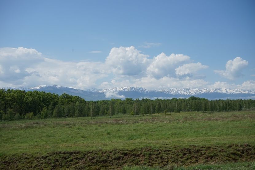  - 2019 MAI 18 POIANA NARCISELOR