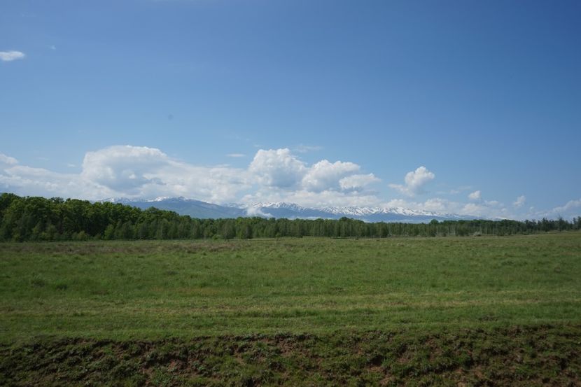  - 2019 MAI 18 POIANA NARCISELOR