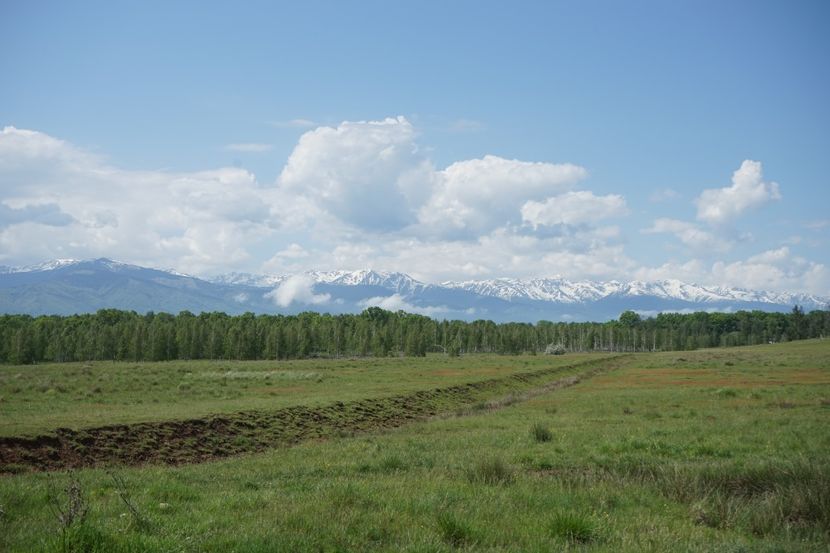  - 2019 MAI 18 POIANA NARCISELOR