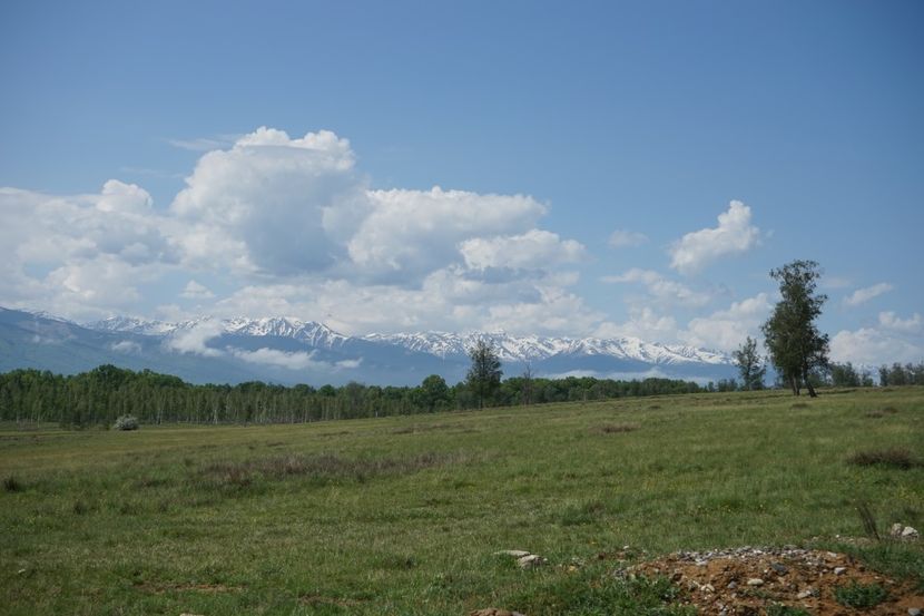  - 2019 MAI 18 POIANA NARCISELOR