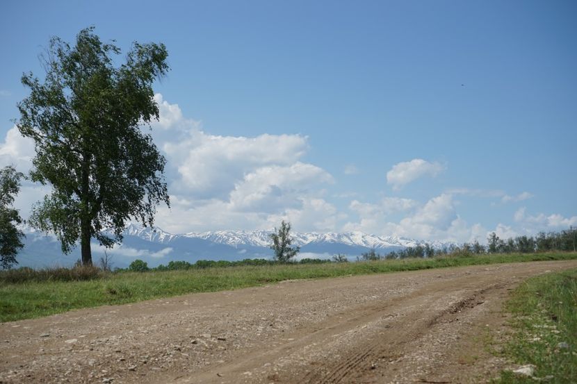  - 2019 MAI 18 POIANA NARCISELOR