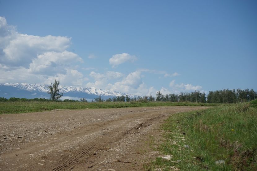  - 2019 MAI 18 POIANA NARCISELOR