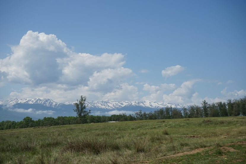  - 2019 MAI 18 POIANA NARCISELOR