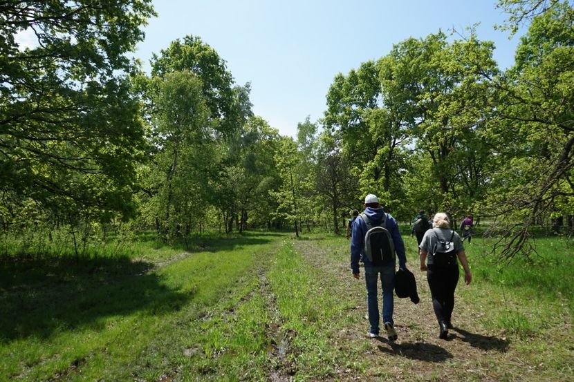  - 2019 MAI 18 POIANA NARCISELOR