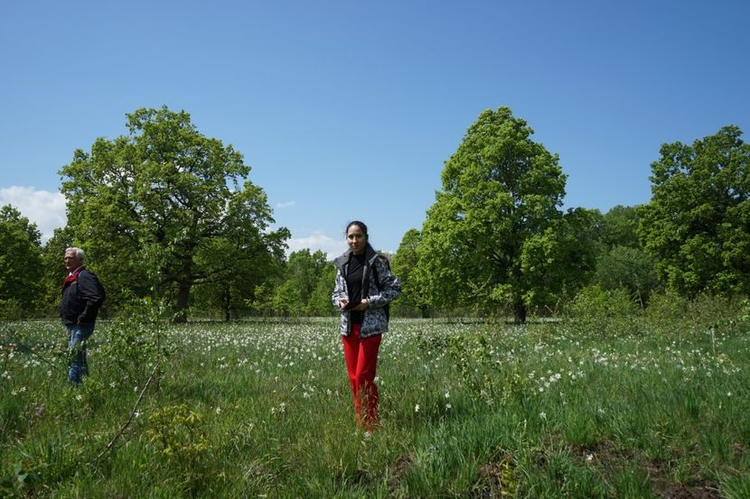  - 2019 MAI 18 POIANA NARCISELOR