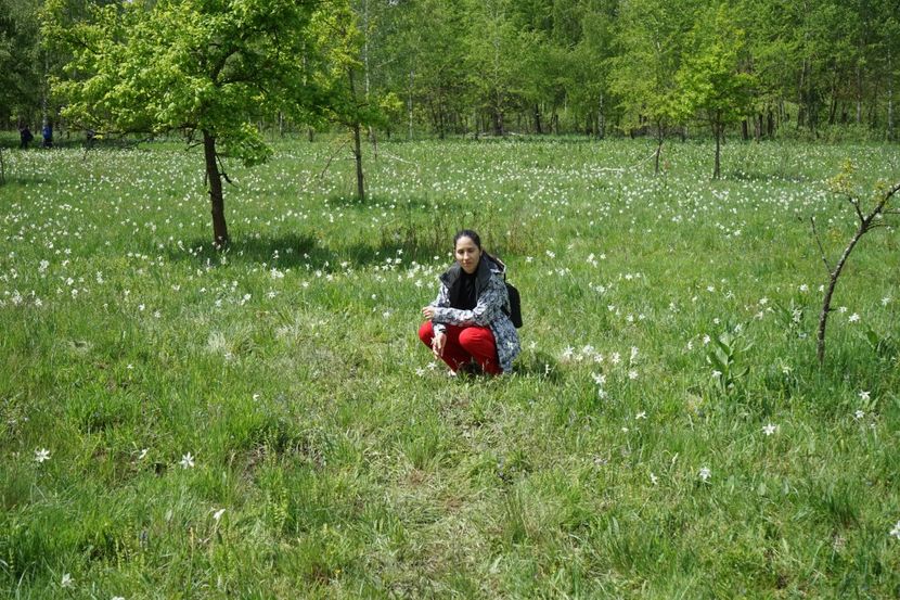  - 2019 MAI 18 POIANA NARCISELOR