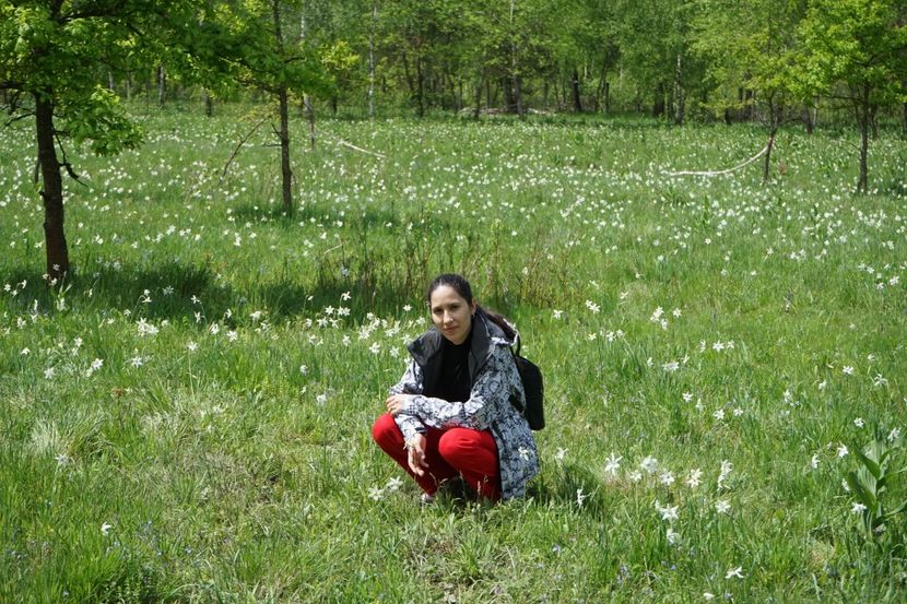  - 2019 MAI 18 POIANA NARCISELOR