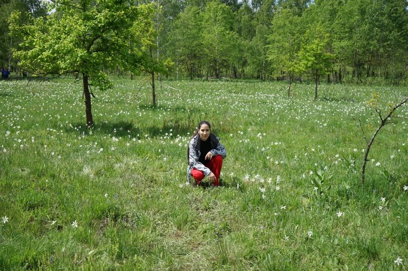  - 2019 MAI 18 POIANA NARCISELOR