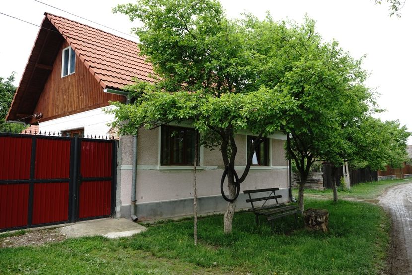  - 2019 MAI 18 POIANA NARCISELOR