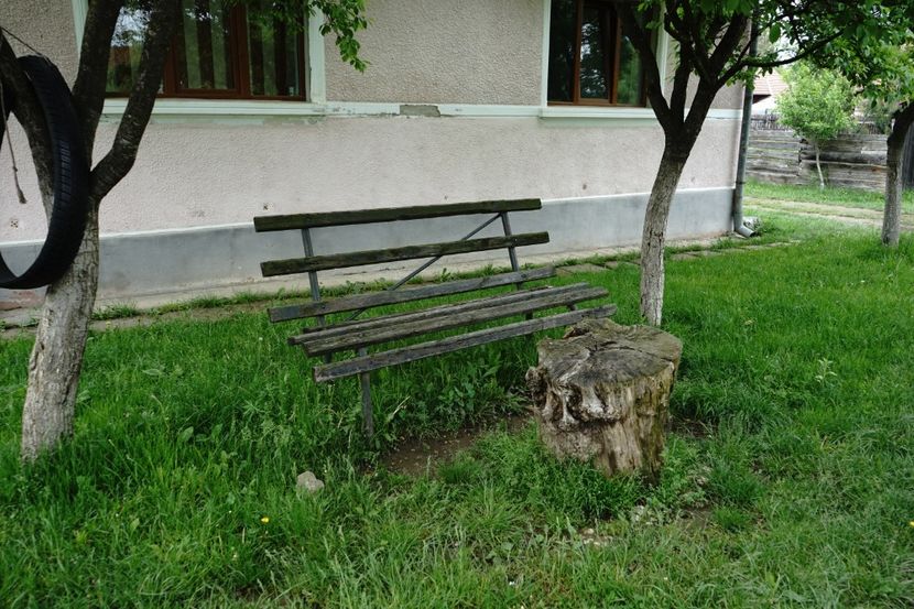  - 2019 MAI 18 POIANA NARCISELOR