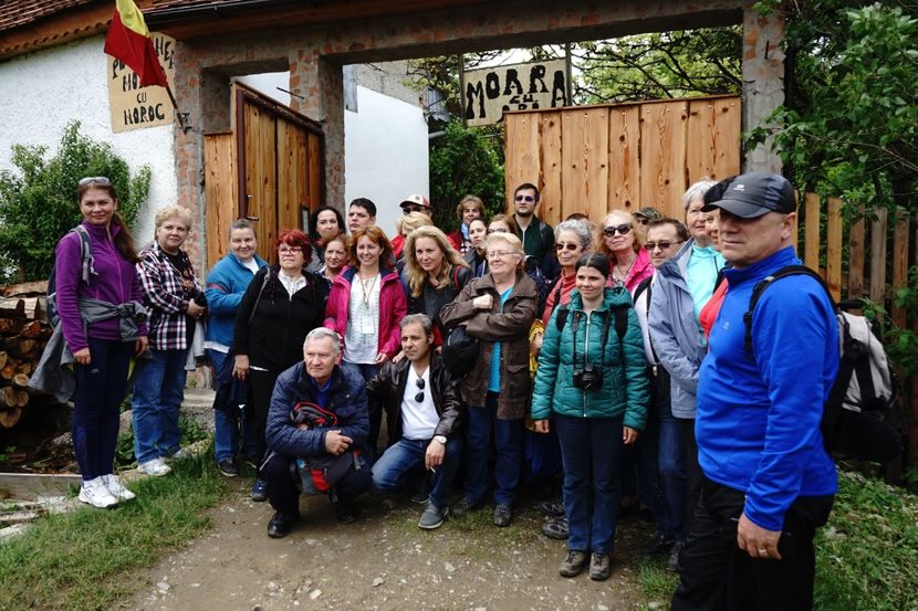  - 2019 MAI 18 POIANA NARCISELOR