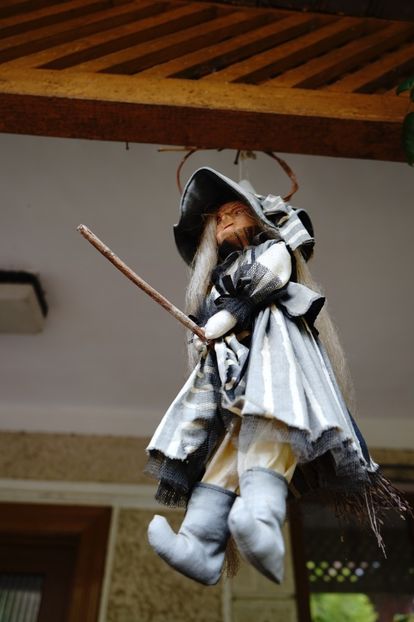  - 2019 MAI 18 POIANA NARCISELOR