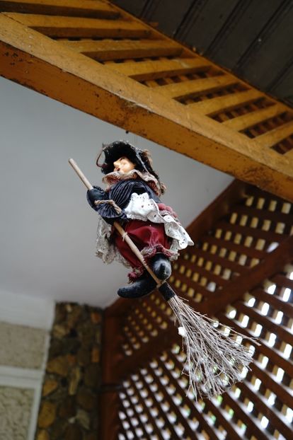  - 2019 MAI 18 POIANA NARCISELOR