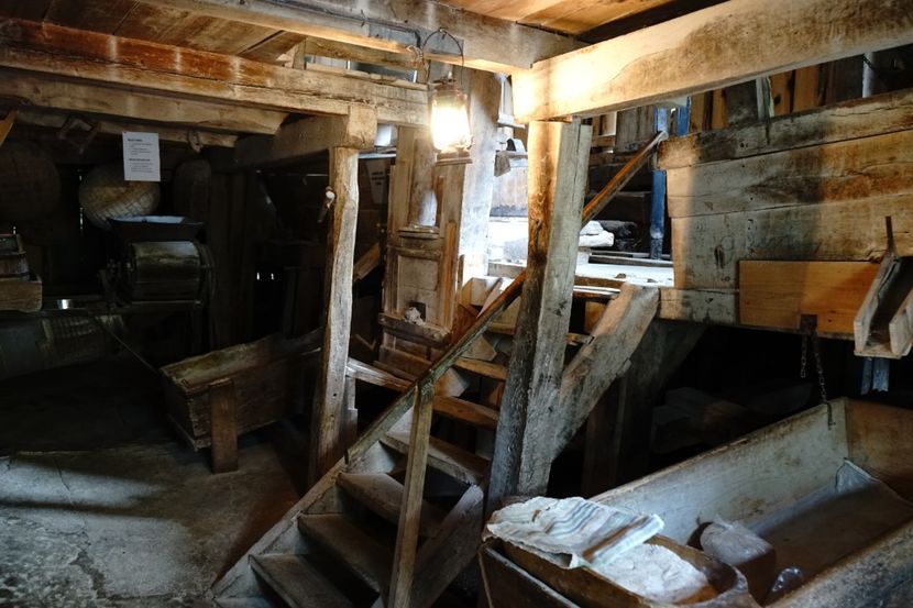  - 2019 MAI 18 POIANA NARCISELOR