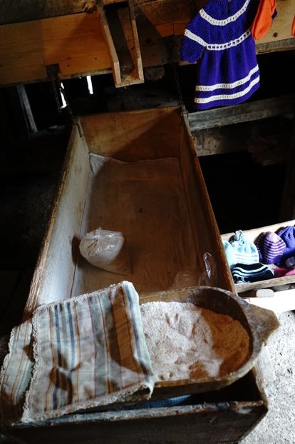  - 2019 MAI 18 POIANA NARCISELOR